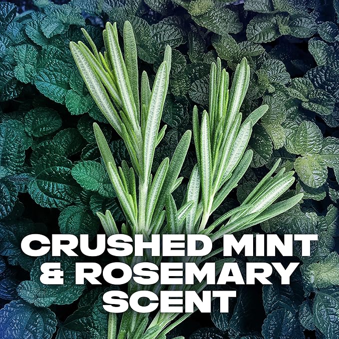 Axe Body Spray Deodorant For Long Lasting Odor Protection, Phoenix Deodorant For Men Formulated Without Aluminum 4oz 4 Count